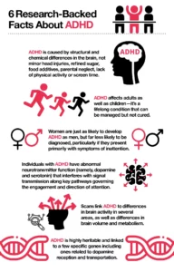 Infographic titled "6 research-backed facts about ADHD." ADHD is caused by structural and chemical differences in the brain, not minor head injuries, refined sugar, food additives, parental neglect, lack of physical activity, or screen time. ADHD affects adults as well as children - it's a lifelong condition that can be managed but not cured. Women are just as likely to develop ADHD as men, but far less likely to be diagnosed, particularly if they present primarily with symptoms of inattention. Individuals with ADHD have abnormal neurotransmitter function (namely, dopamine and serotonin) that interferes with signal transmission along key pathways governing the engagement and direction of attention. Scans link ADHD to differences in brain activity in several areas, as well as differences in brain volume and metabolism. ADHD is highly heritable and linked to a few specific genes including ones related to dopamine reception and transportation. 